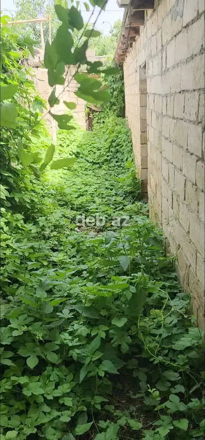 3 otaqlı, 100 kv. m, Orta təmir — kiçik şəkil 4