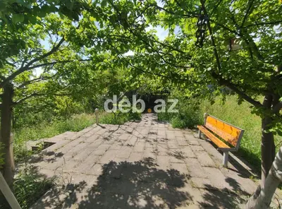 Nağaraxana, 328 kv. m, 4 otaqlı, Hovuzsuz, Kanalizasiya, Kombi, Artezian quyusu — kiçik şəkil 10