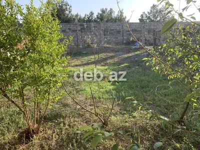 2 sot, Tikinti — kiçik şəkil 4