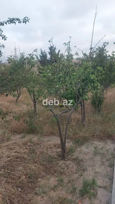 Bakı, 250 kv. m, 6 otaqlı, Kombi, Qaz, İşıq — kiçik şəkil 4
