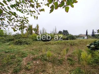 15 sot, Kənd təsərrüfatı, Mülkiyyətçi, Kupça (Çıxarış) — kiçik şəkil 7