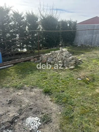 Kənd təsərrüfatı — kiçik şəkil 4