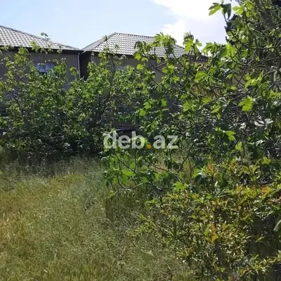 Sumqayitda Torpaq Satilir — Corat Bağlarında 3 və 6 Sot — kiçik şəkil 2