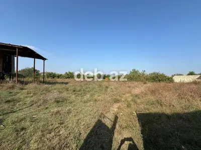 23 sot, Kənd təsərrüfatı, Mülkiyyətçi, Kupça (Çıxarış) — kiçik şəkil 9