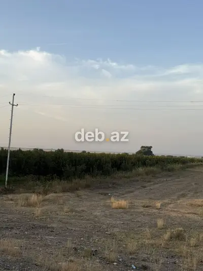 Seyfəlidə Kənd Təsərrüfatı Təyinatlı 2500 Sot Torpaq Sahəsi Satılır — kiçik şəkil 2