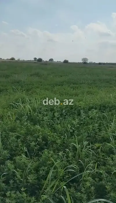 200 sot, Kənd təsərrüfatı, Mülkiyyətçi, Kupça (Çıxarış) — kiçik şəkil 1