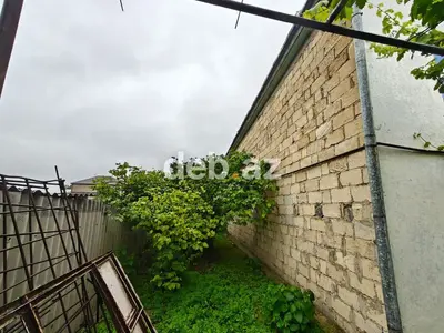 Xaçmaz rayonun mərkəzində - Natavan küçəsində Kupçalı Ev ilə birgə 12 — kiçik şəkil 11