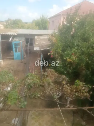 5 sot, Tikinti, Mülkiyyətçi, Kupça (Çıxarış) — kiçik şəkil 3
