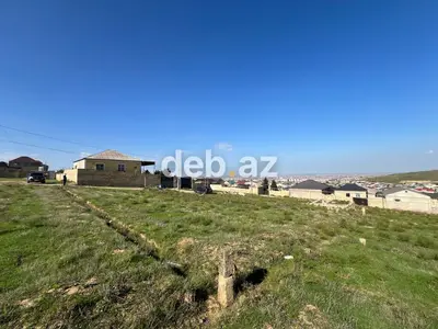 5 sot, Kənd təsərrüfatı — kiçik şəkil 4