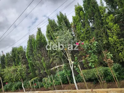 5 otaqlı, 184 kv. m, Orta təmir — kiçik şəkil 5