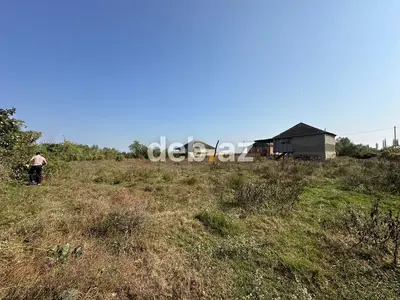 23 sot, Kənd təsərrüfatı, Mülkiyyətçi, Kupça (Çıxarış) — kiçik şəkil 2