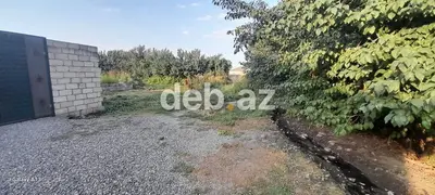 6 sot, Tikinti, Kupça (Çıxarış) — kiçik şəkil 2