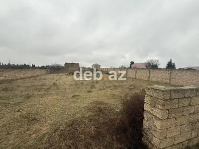 6 sot, Tikinti, Mülkiyyətçi, Kupça (Çıxarış) — kiçik şəkil 2
