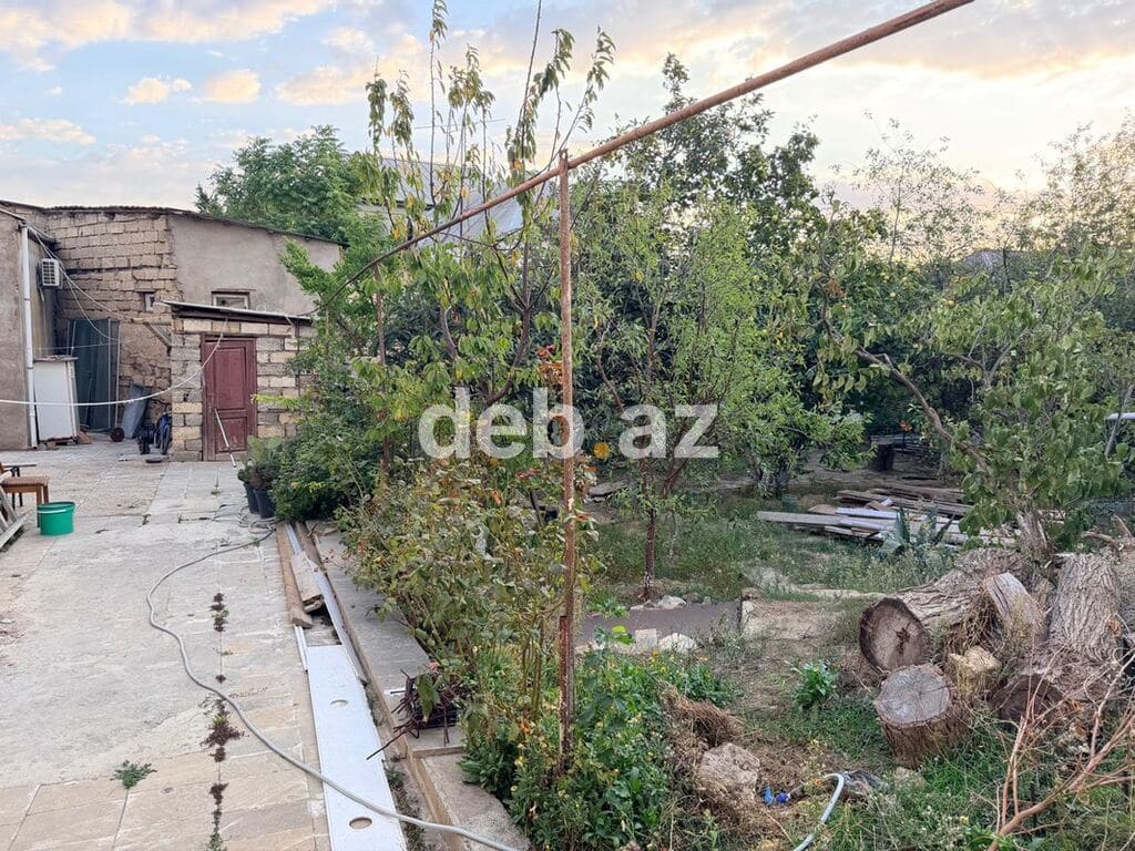 6 sot, Biznes üçün, Mülkiyyətçi, Kupça (Çıxarış) — şəkil 1