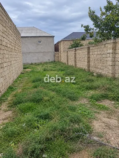 4 sot, Tikinti, Kupça (Çıxarış) — kiçik şəkil 2