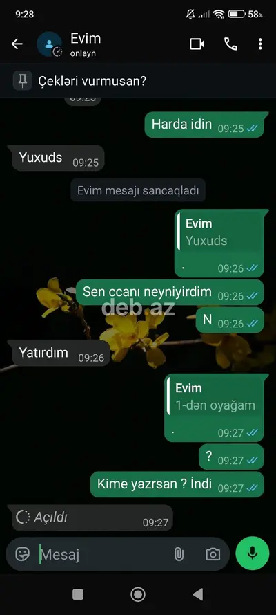 Maştağa qəsəbəsində 8sotun içinde həyət evi və torpaq sahəsi. - Ümumi — kiçik şəkil 13
