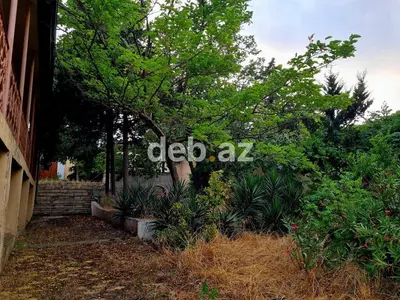 Digah qəsəbəsində, 23 sot geniş ərazidə 180 kv.m evi və bol meyvə bağı olan bağ evi satılır — kiçik şəkil 14