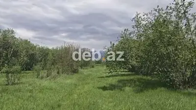 15 sot, Biznes üçün, Mülkiyyətçi, Kupça (Çıxarış) — kiçik şəkil 4