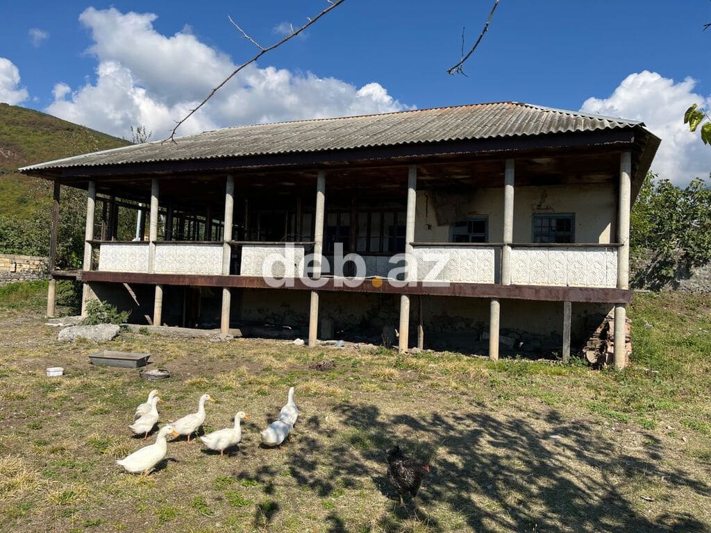 11 sot, Kupça (Çıxarış) — şəkil 1