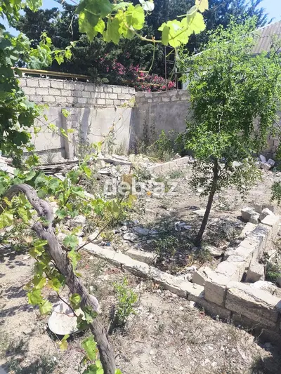 2 sot, Tikinti, Bələdiyyə — kiçik şəkil 4