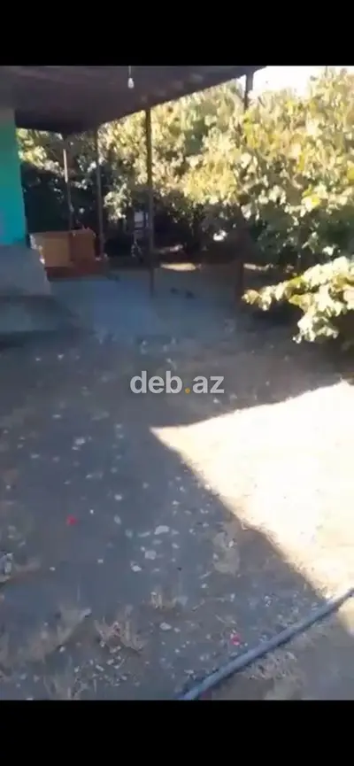 Həyətyanı sahəsi olan kənd evi Qəbələ rayonu Savalan kəndi həm fındıq — kiçik şəkil 3