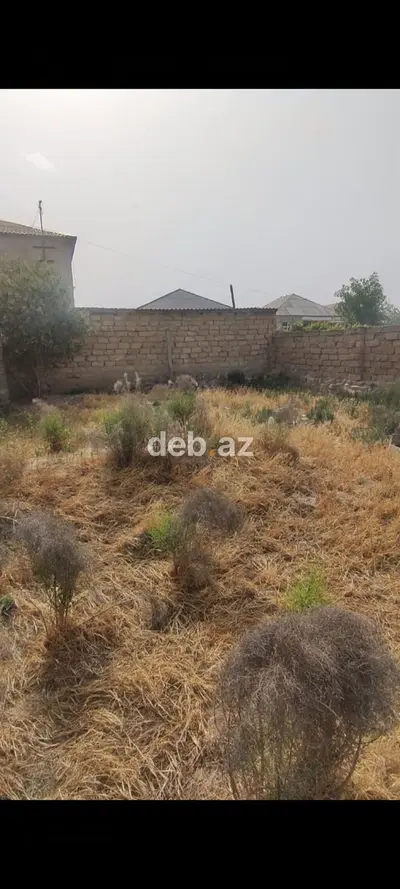 Tecili elimyandi kend hovsanda umumi 3800 azn e torpaq satilir xaish — kiçik şəkil 1