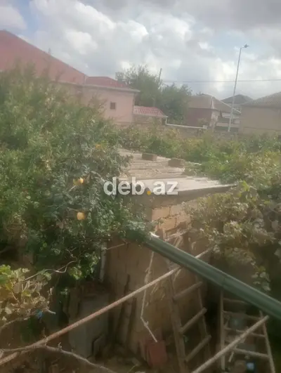 5 sot, Tikinti, Mülkiyyətçi, Kupça (Çıxarış) — kiçik şəkil 2