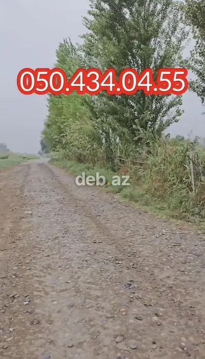 15 otaq, 1000 kv. m, Kredit yoxdur, Təmirsiz — kiçik şəkil 2