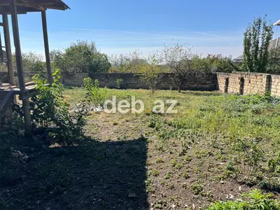 11 sot, Kupça (Çıxarış) — kiçik şəkil 5