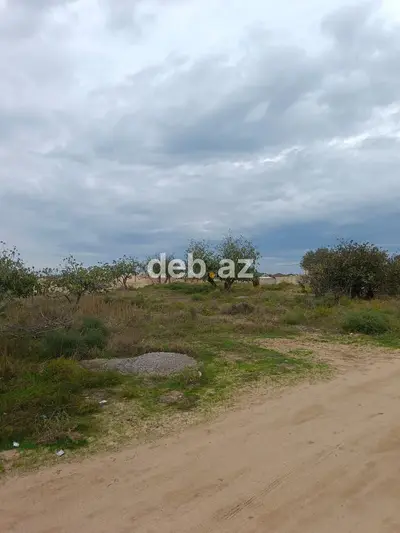 17 sot, Tikinti, Mülkiyyətçi, Kupça (Çıxarış) — kiçik şəkil 3