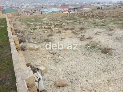 5 sot, Tikinti — kiçik şəkil 1