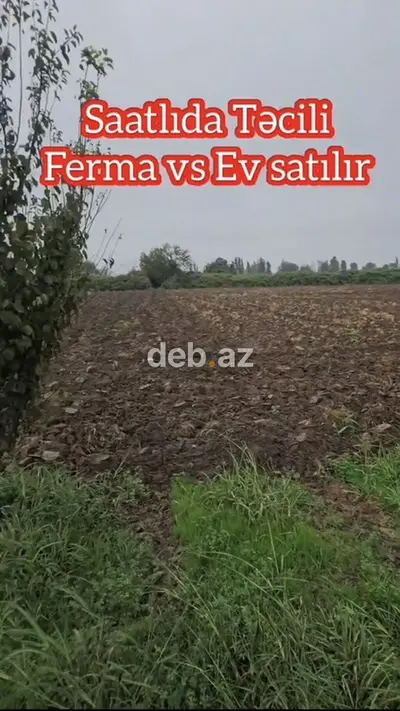 15 otaq, 1000 kv. m, Kredit yoxdur, Təmirsiz — kiçik şəkil 6