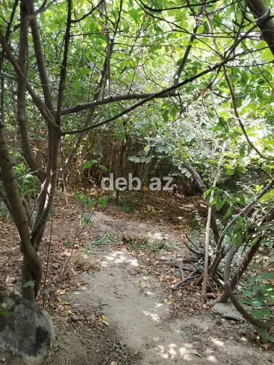 3 sot, Tikinti, Mülkiyyətçi, Bələdiyyə — kiçik şəkil 3