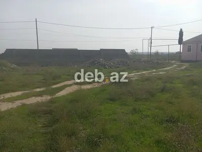 6 sot, Kənd təsərrüfatı, Maklerlər narahat etməsin, Kupça (Çıxarış) — kiçik şəkil 2