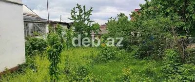 5 sot, Tikinti, Kupça (Çıxarış) — kiçik şəkil 1
