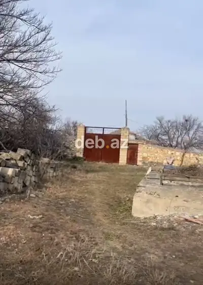 31 sot, Tikinti, Mülkiyyətçi, Kupça (Çıxarış) — kiçik şəkil 2