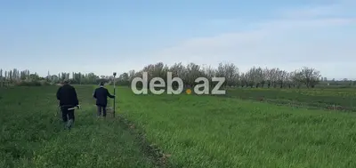 235 sot kənd təsərrüfatı təyinatlı torpaq sahəsi satılır (Kupçalı, texniki pasportlu, barter mümkündür) — kiçik şəkil 2