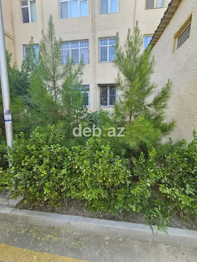 Bakı, 3 otaqlı, Köhnə tikili, 73 kv. m — kiçik şəkil 9
