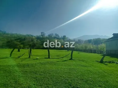 14 sot, Tikinti, Mülkiyyətçi, Kupça (Çıxarış) — kiçik şəkil 2