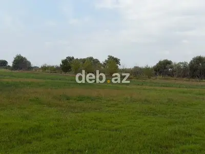 1.14 hektar (114 sot) kənd təsərrüfatı təyinatlı sənədli torpaq sahəsi satılır — kiçik şəkil 7