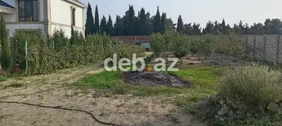 12 sot, Kənd təsərrüfatı, Kupça (Çıxarış) — kiçik şəkil 1