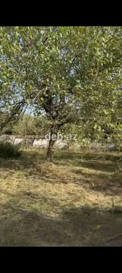 21 sot, Tikinti, Mülkiyyətçi, Kupça (Çıxarış) — kiçik şəkil 1