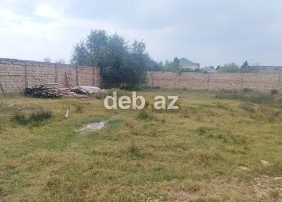 6 sot, Tikinti, Mülkiyyətçi, Kupça (Çıxarış) — kiçik şəkil 3