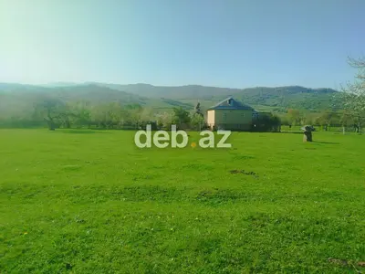 14 sot, Tikinti, Mülkiyyətçi, Kupça (Çıxarış) — kiçik şəkil 3