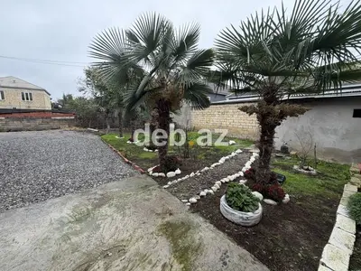 3 otaqlı, 240 kv. m, Yeni təmirli — kiçik şəkil 5