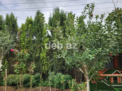 5 otaqlı, 184 kv. m, Orta təmir — kiçik şəkil 6