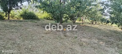 10 sot, Tikinti, Mülkiyyətçi, Kupça (Çıxarış) — kiçik şəkil 11
