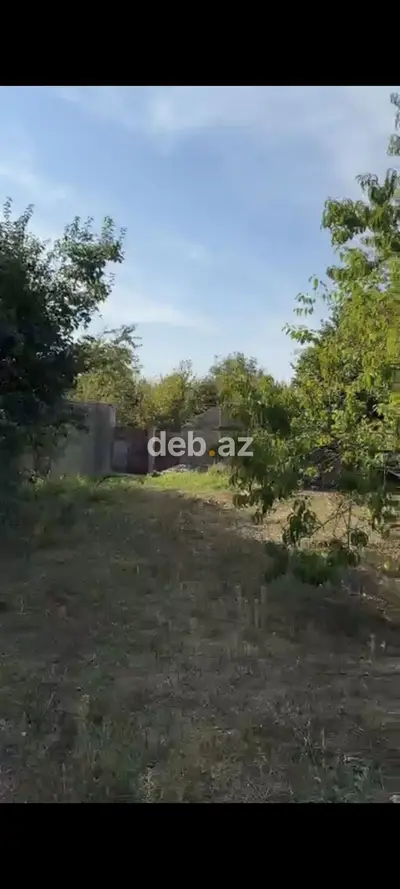 21 sot, Tikinti, Mülkiyyətçi, Kupça (Çıxarış) — kiçik şəkil 6