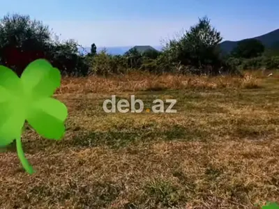 5 sot, Tikinti, Mülkiyyətçi, Kupça (Çıxarış) — kiçik şəkil 2