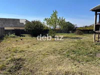 11 sot, Kupça (Çıxarış) — kiçik şəkil 7